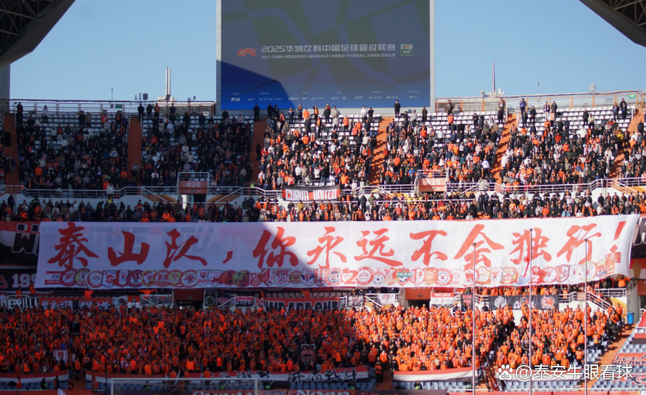 大赛中中国队表现抢眼，引发球迷关注
