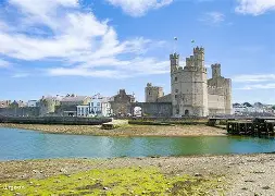 威尔士队一路顺风，踏上胜利之路